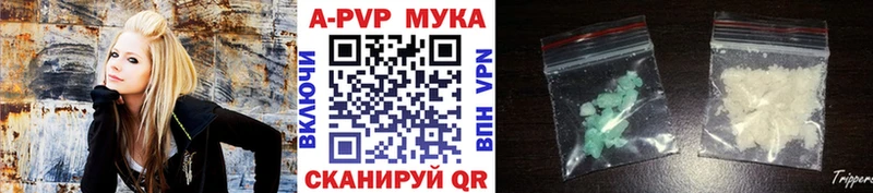 Купить где  Большой Камень  A PVP СК 
