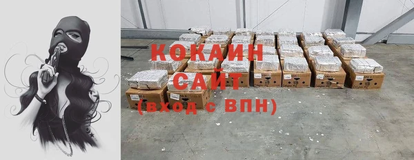 индика Беломорск
