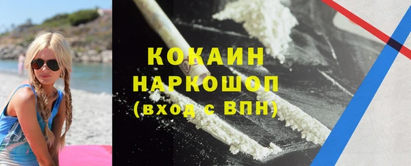 индика Беломорск