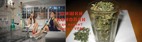 индика Беломорск