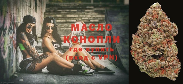 индика Беломорск