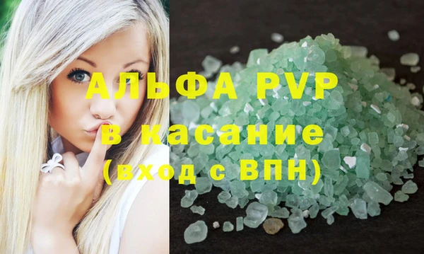 индика Беломорск