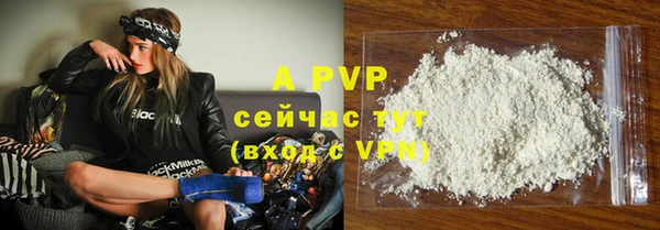 индика Беломорск