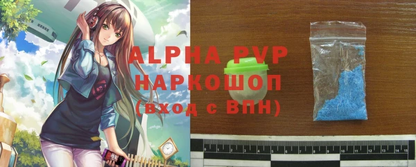 индика Беломорск