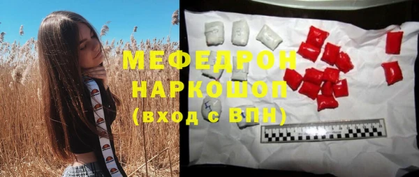 индика Беломорск