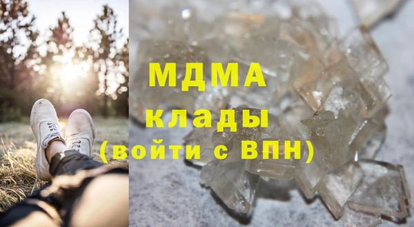 индика Беломорск
