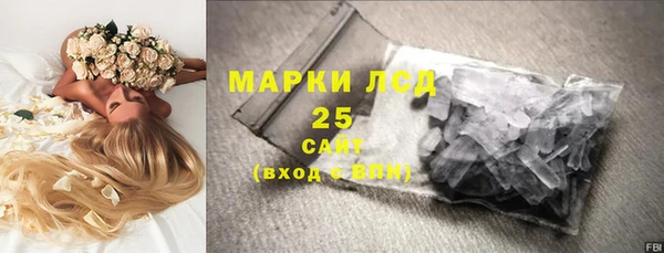 индика Беломорск